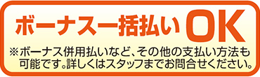 ボーナス一括払いOK
