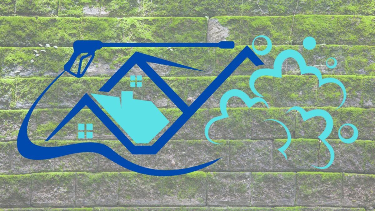 バイオ洗浄とは?つくば市の気候との相性