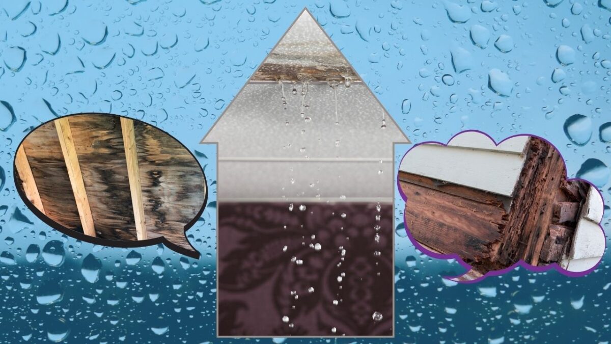 雨漏りを放置するとどうなる?今こそ点検が必要な理由