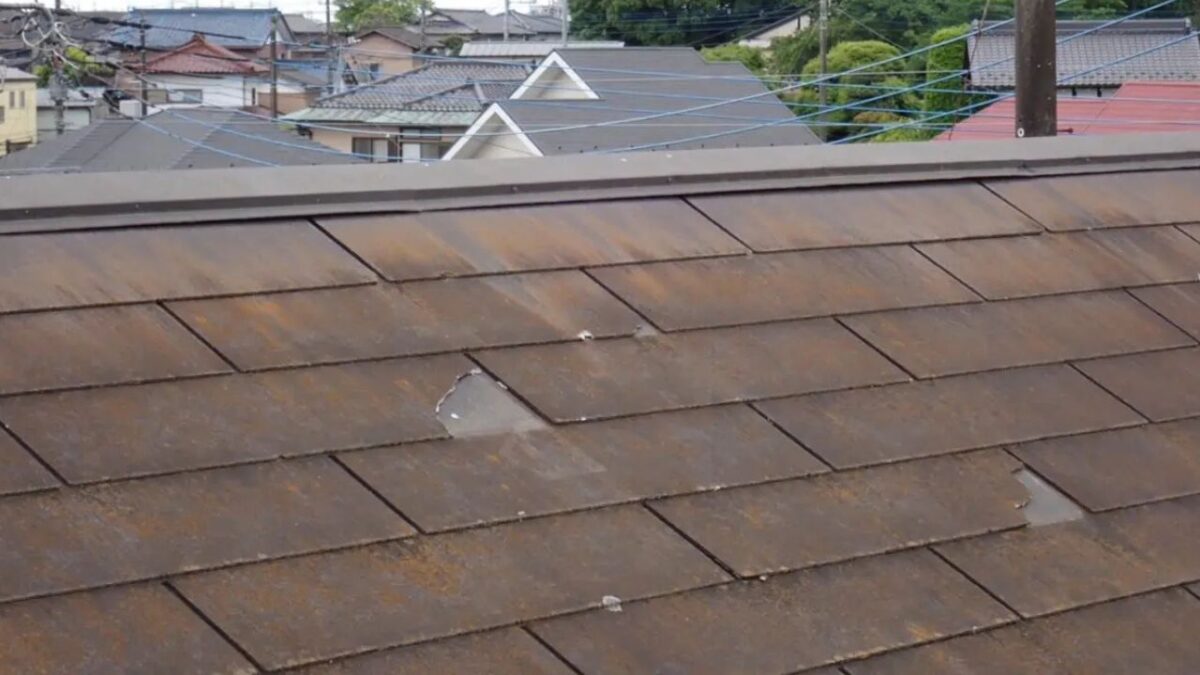 築20年前後で表面不良が急増する理由（吸水・反り・割れ）