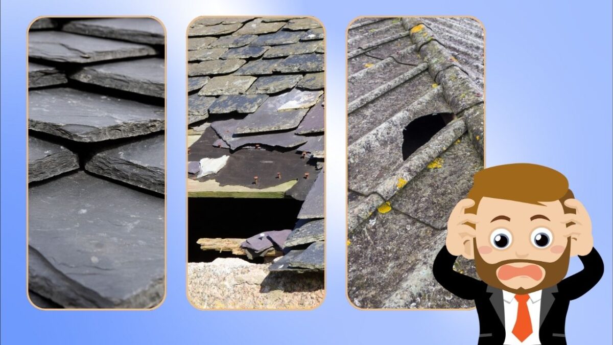 築20〜24年ノンアス屋根に多い劣化症状